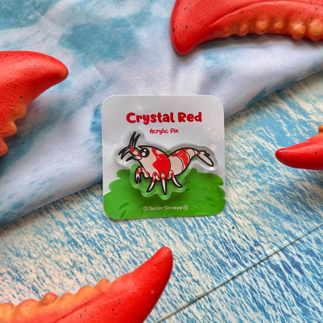 Red Crystal Shrimp Acrylic Pin
