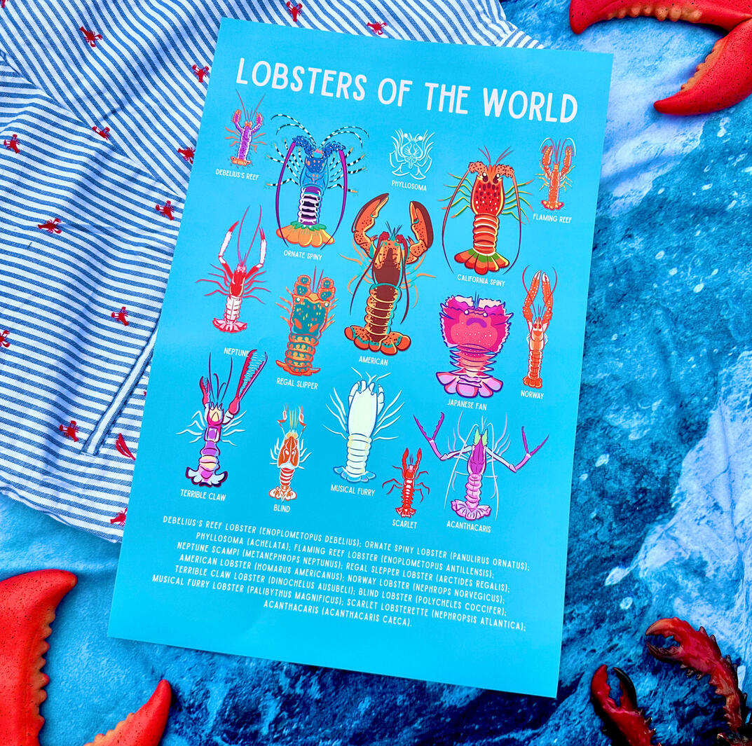 Sailor Shrimpp’s Lobsters of the World 11x17 in print.