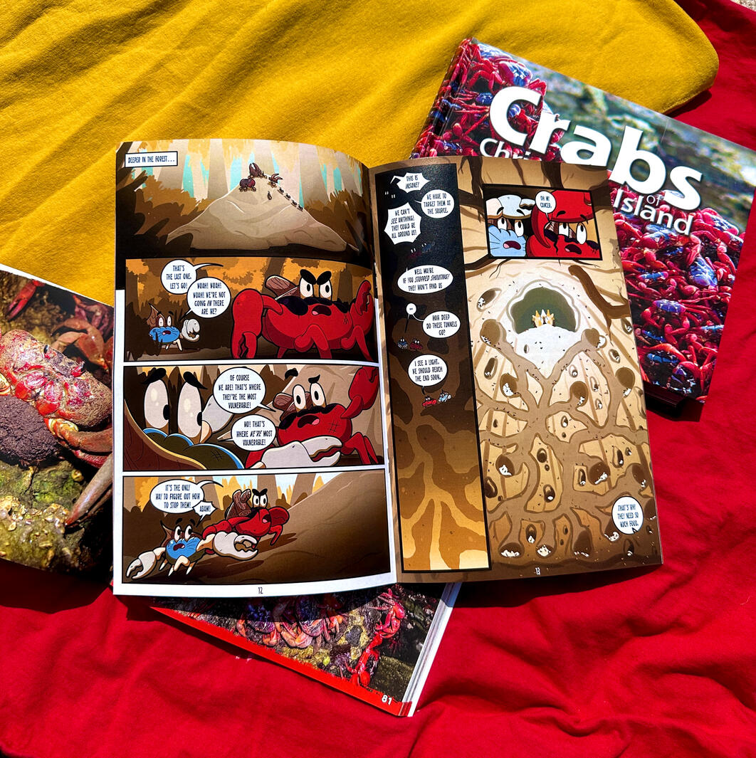 Sailor Shrimpp’s 24 Pages comic, Chitin Legends: Yellow Fever.